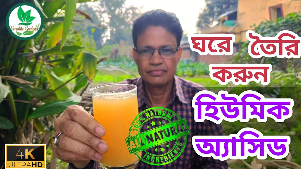 গাছের মহৌষধ হিউমিক অ্যাসিড: জৈবভাবে বাড়িতে তৈরীর পদ্ধতি || Homemade organic Humic Acid