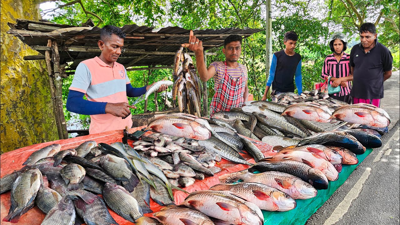 Terrible Rural Village Fish Market And Excellent Fish Cutting Road Show In Sri Lanka
