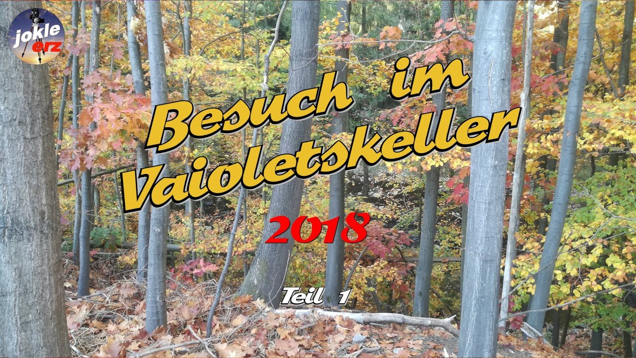 Besuch im Vaioletskeller 2018 Teil 1