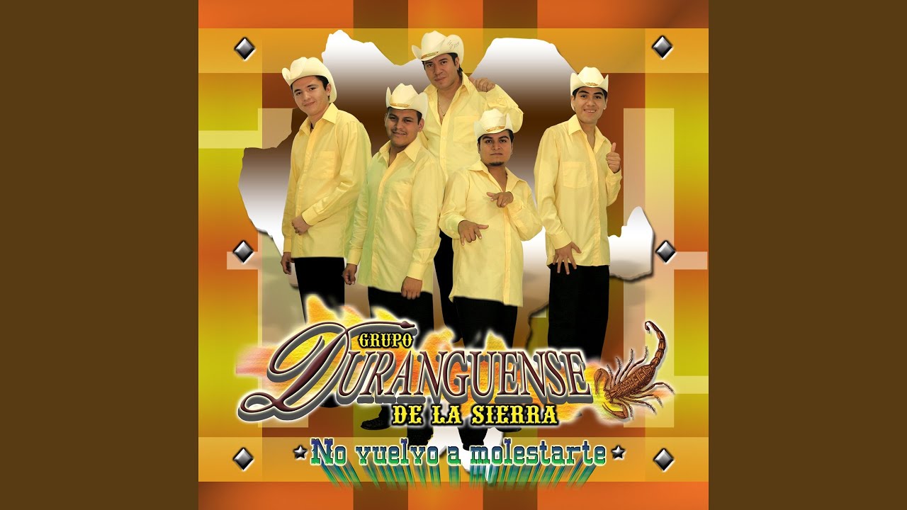 Necesito una Compañera