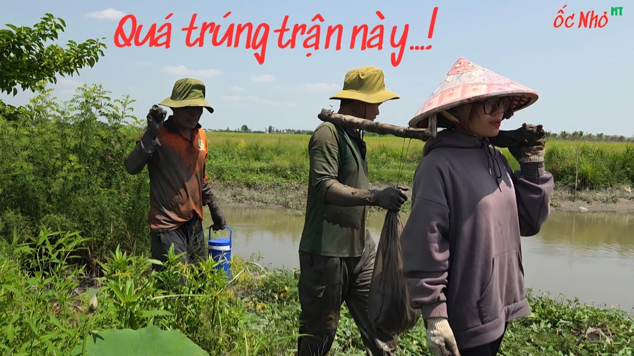 Va Phải 1 Hang Chứa Đầy Cá Phải Gánh Về Luôn Vì Quá Nhiều_Đang Đói Mà Ăn Món NÀY.... | ONMT #Tập 228