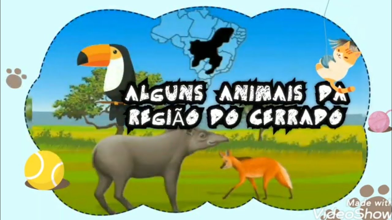 Alguns animais do cerrado