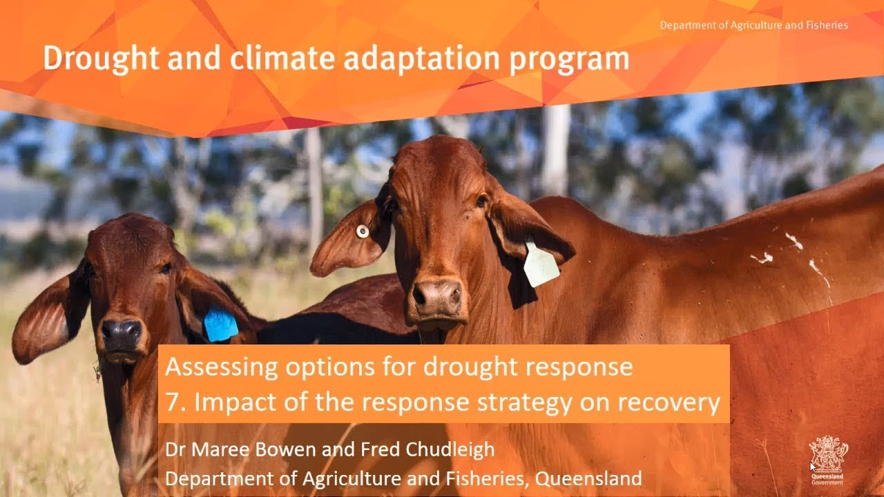 Drought response - Impact of response strategy on recovery.