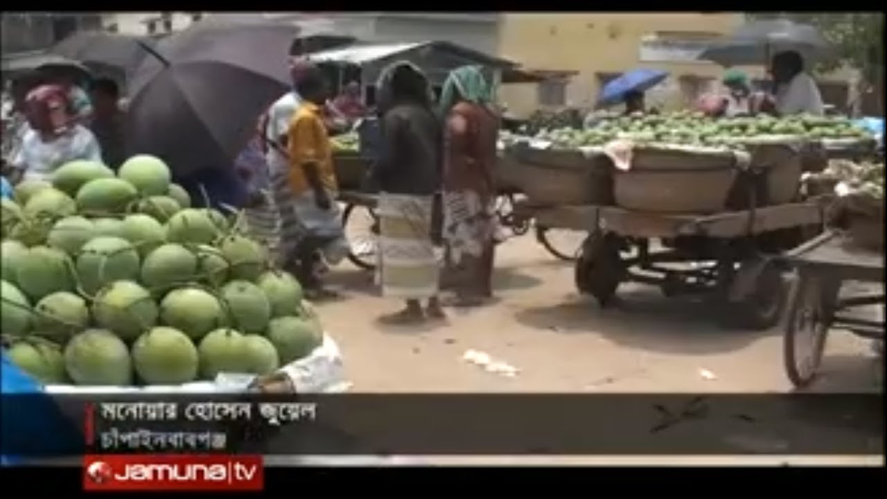 চাঁপাইনবাবগঞ্জের কানসাটে আমের বাজার চড়া | Jamuna TV