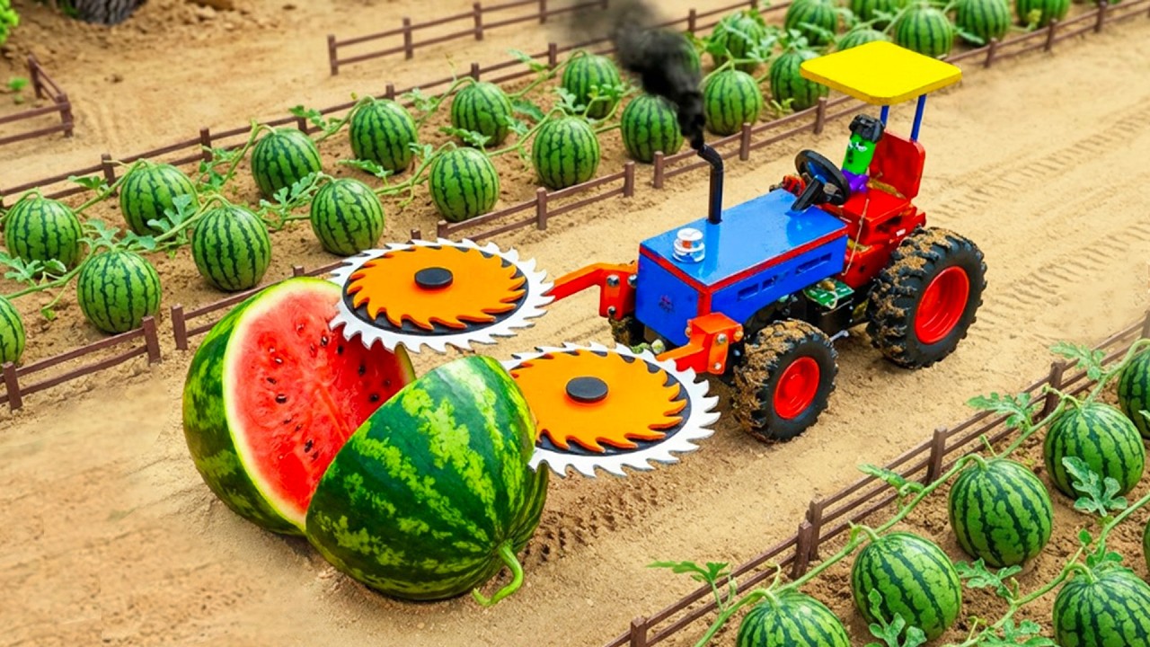 TOP Most Creative DIY Circular Saw Blade on Strange Mutant Watermelon Farming | HP Mini DIY Tractor