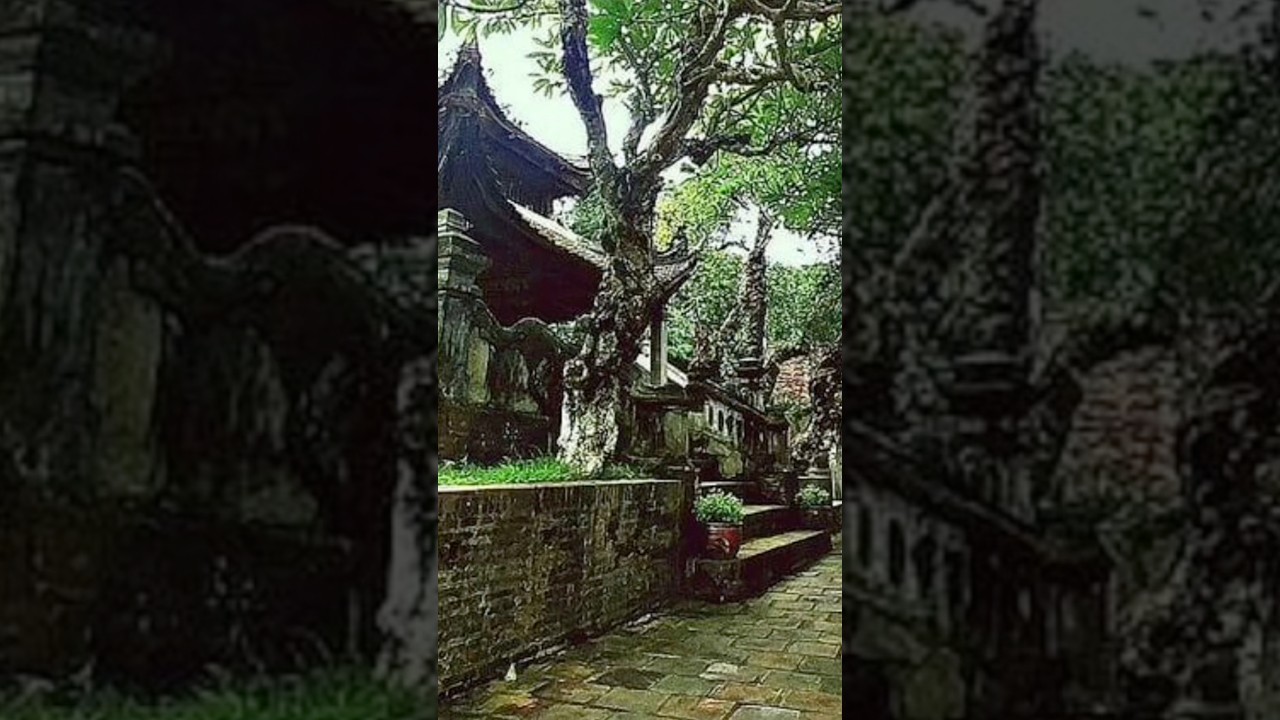 &Yacute; nghĩa của t&ecirc;n nước &ldquo;&Acirc;u Lạc&rdquo; #vanhoavietnam