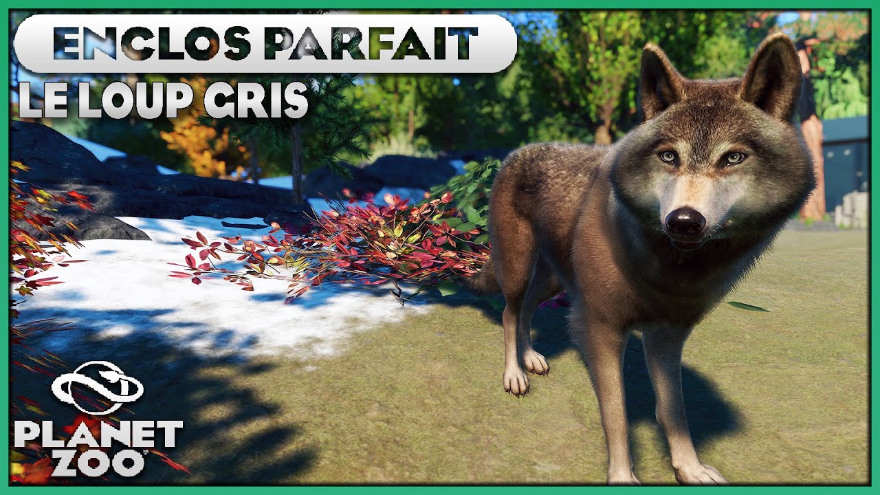 Les Loups Gris (et Mon micro cassé…) | LES ENCLOS PARFAITS : EPISODE 42 | PLANET ZOO
