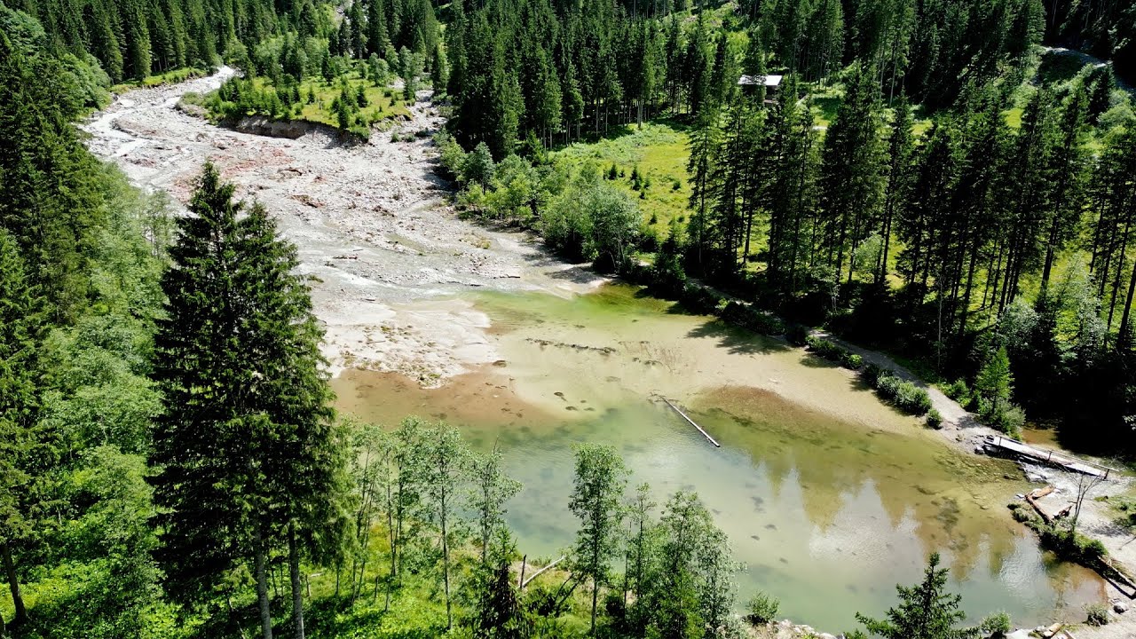 Traumhaftes Fliegenfischen am Bergsee & Bach in Österreich |  Live-Bisse | Bachforelle & Saibling