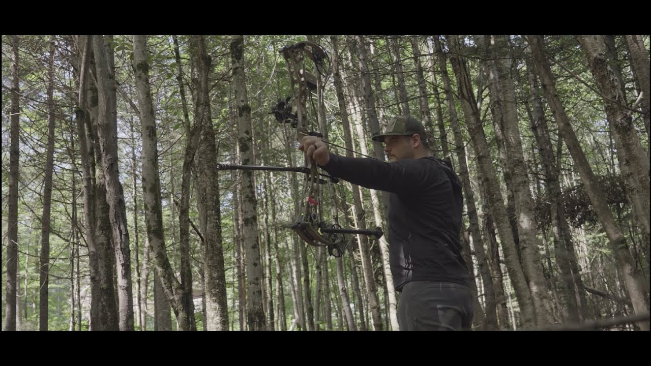 Techniques de tir à l'arc