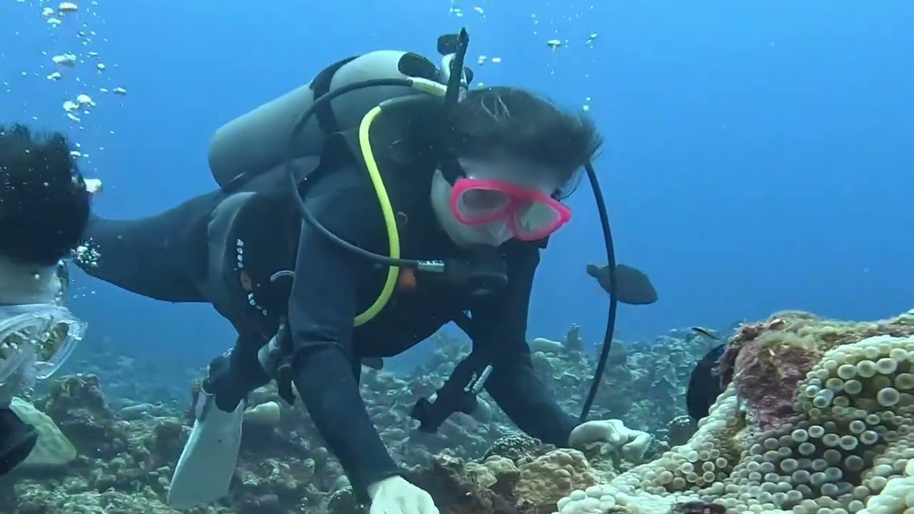 Happy Ocean Dreams World Underwater 🌊