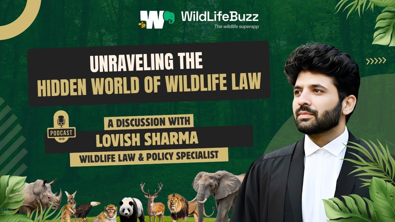 Full Episode - Unraveling the hidden world of wildlife laws