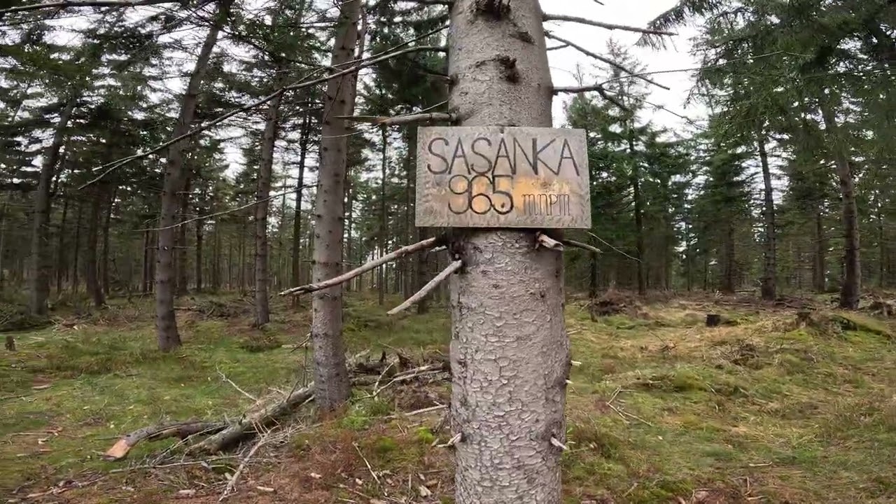 Diadem Polskich G&oacute;r  - Jagodna P&oacute;łnocna - Jagodna