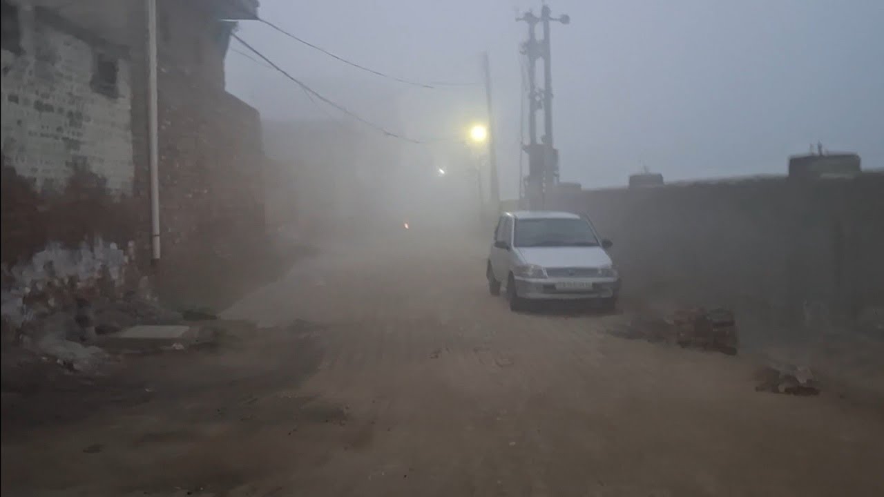 Savere svere gye maur mandi 🫤😮‍💨