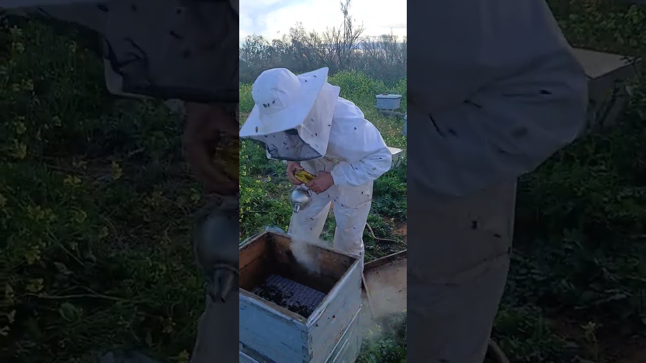 طريقة تنزيل طرد