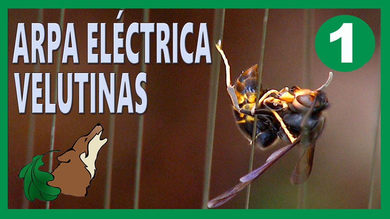 V1 - Trampa eléctrica - Control Velutina.