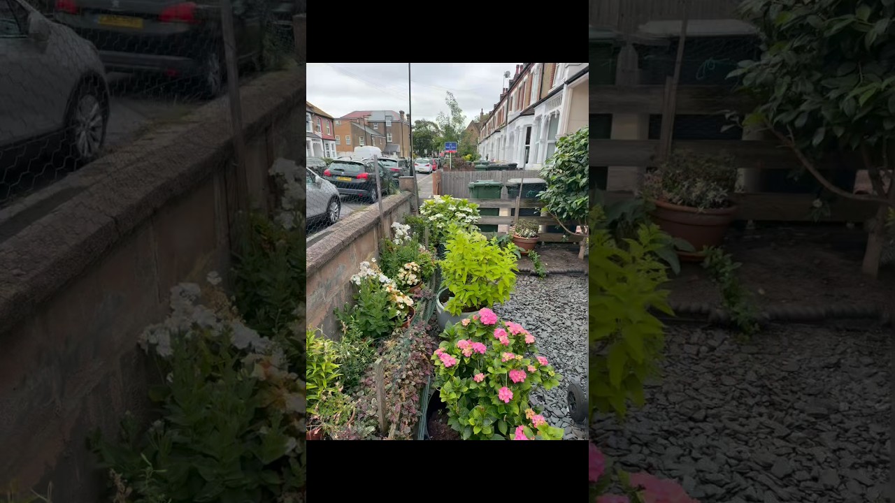 So much waste in such a small #green #space 🚀we still got the job done ✅ #plants #greenliving 💚