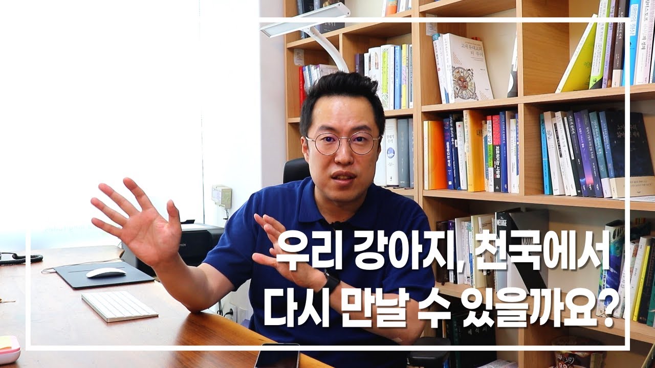 우리 강아지, 천국에서 다시 만날 수 있을까요?