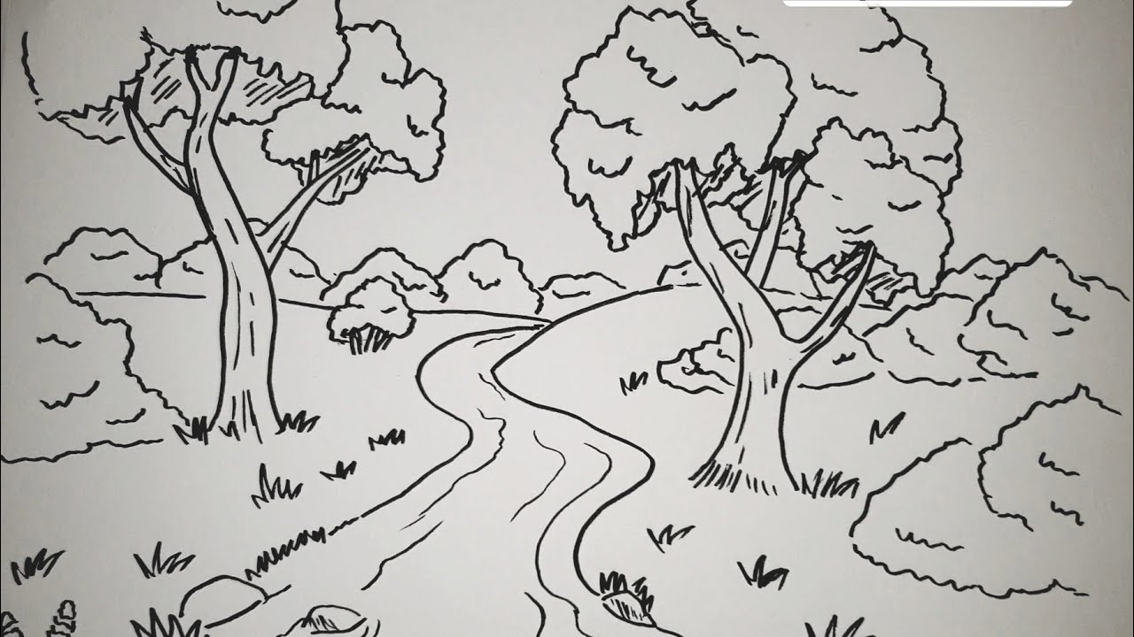 Kako nacrtati Reku u Sumi/How to draw a Forest River Landscape