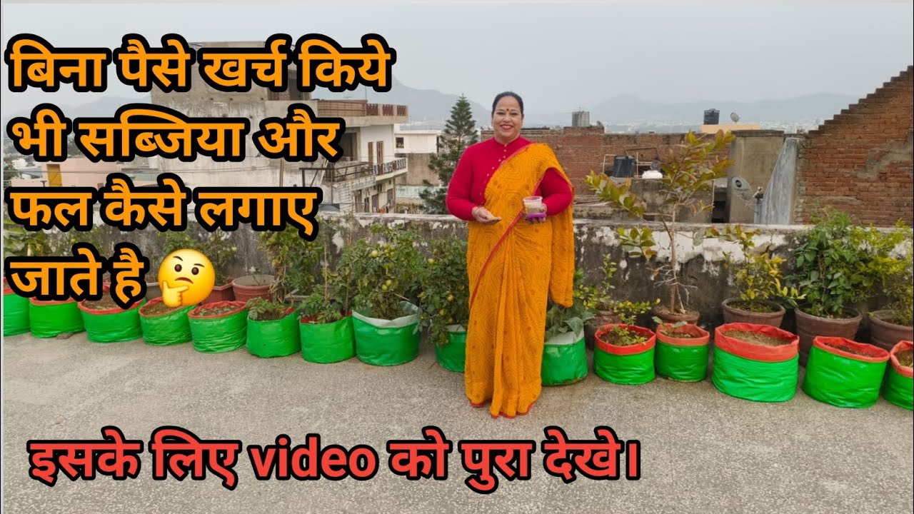 🤔 बिना पैसे खर्च भी सब्जिया या फल लगाये जा सकते है 