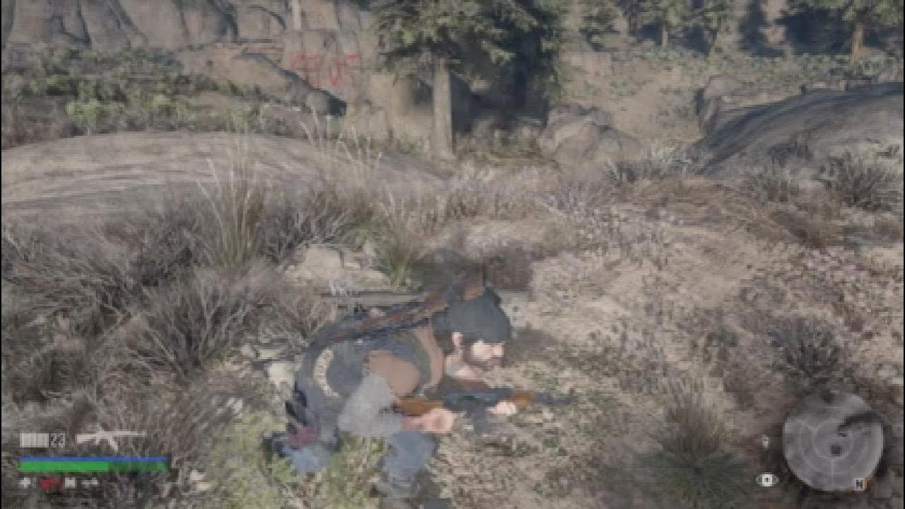 Days Gone 6