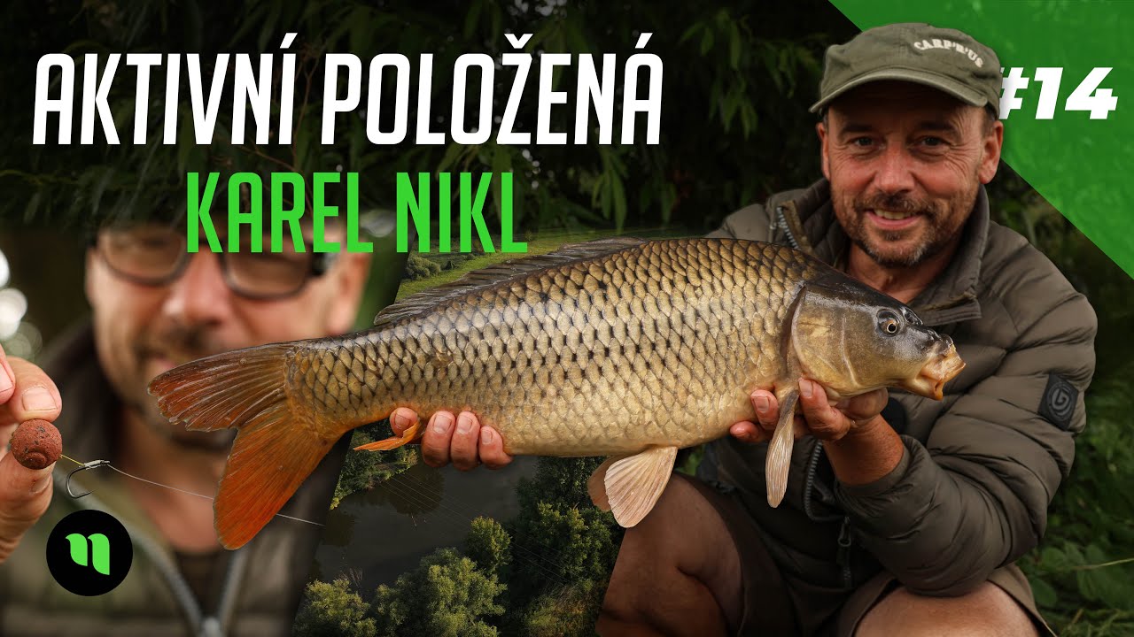 Aktivní položená | Návod na nejoblíbenější návazec Karla Nikla | Malý revír a spoustu záběrů | #14