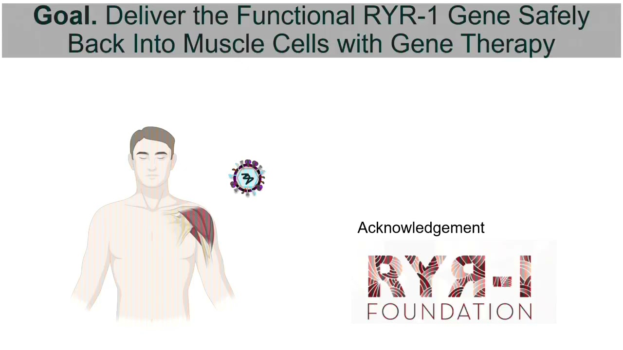 Expert Panel: Fueling Innovation RYR-1 Foundation Research Grants