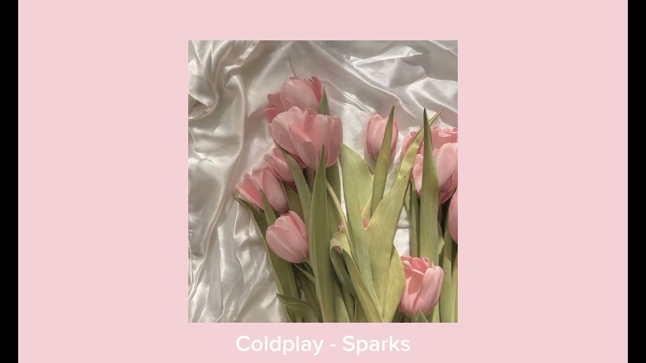 ☆ ࣪🌷 ¡ ૮₍ Coquette playlist  ₎ა :  🍼