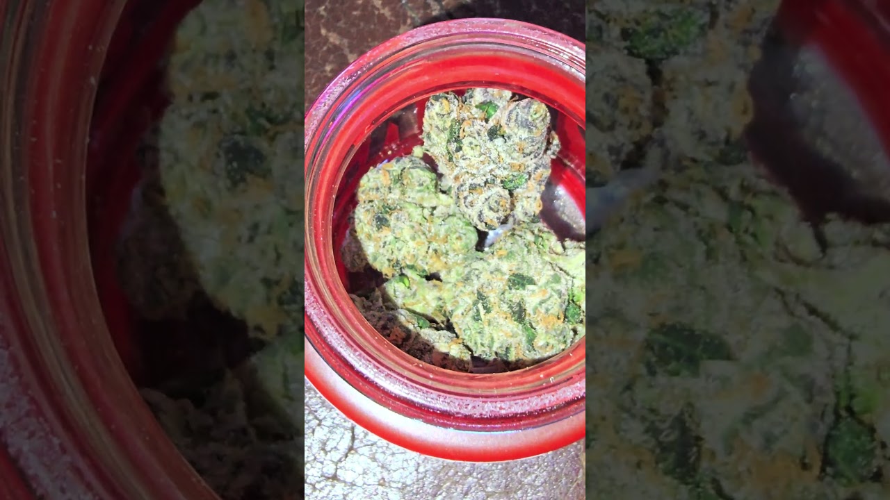 LAX PACKS STRAIN GMOCHI 🌌🌌🌌✅️✨️💯💯💯👏👏👏