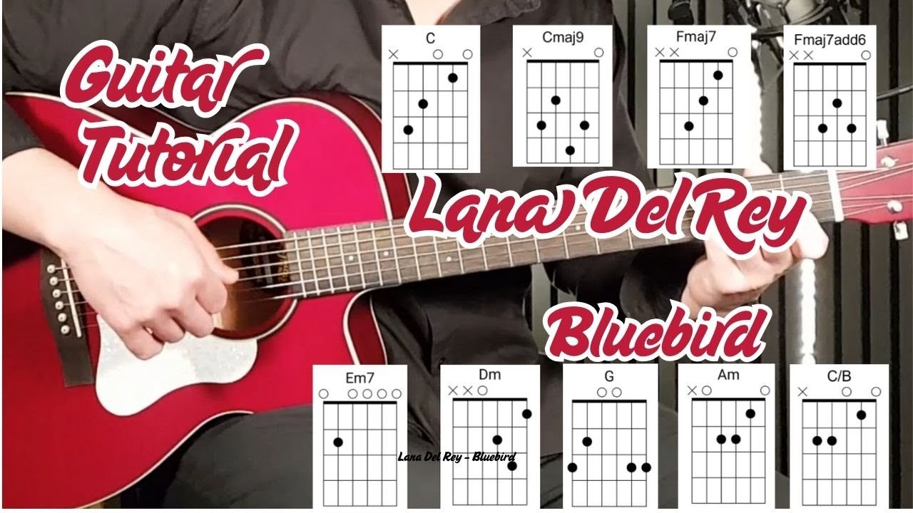 Lana Del Rey – Bluebird | Dreamy Acoustic Guitar Tutorial (Chords + Strumming)