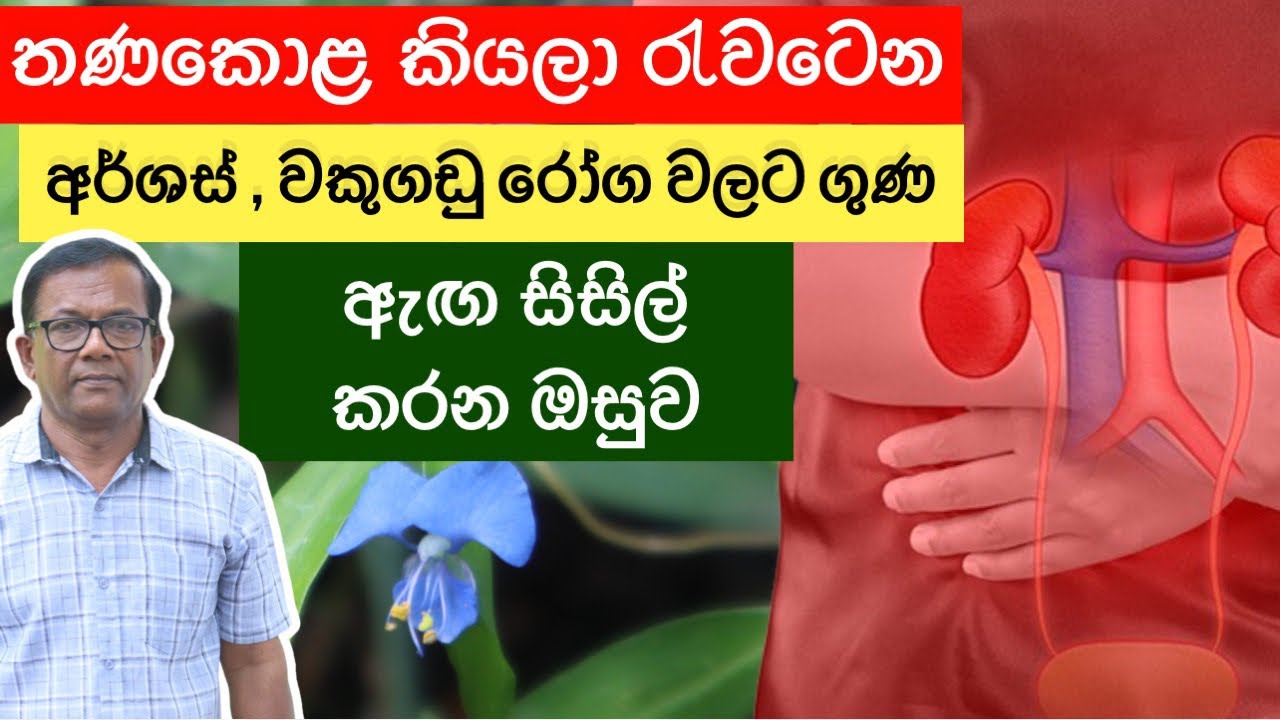 කෑවොත් වෙන දේ  දැනගන කන්නම ඕන පලා|ඔබ දන්න දේත් අපිට කියන්න|Commelina diffusa| Ceylon Agri|Epi.314