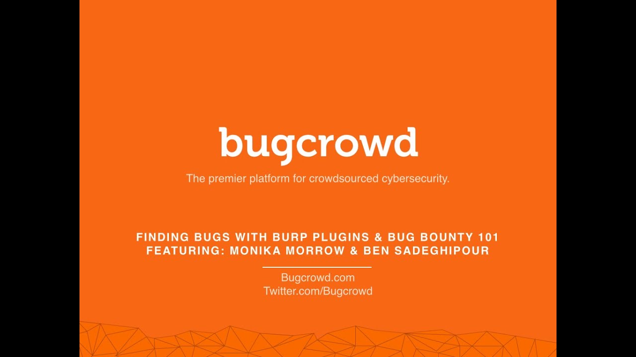 Finding Bugs with Burp Plugins & Bug Bounty 101