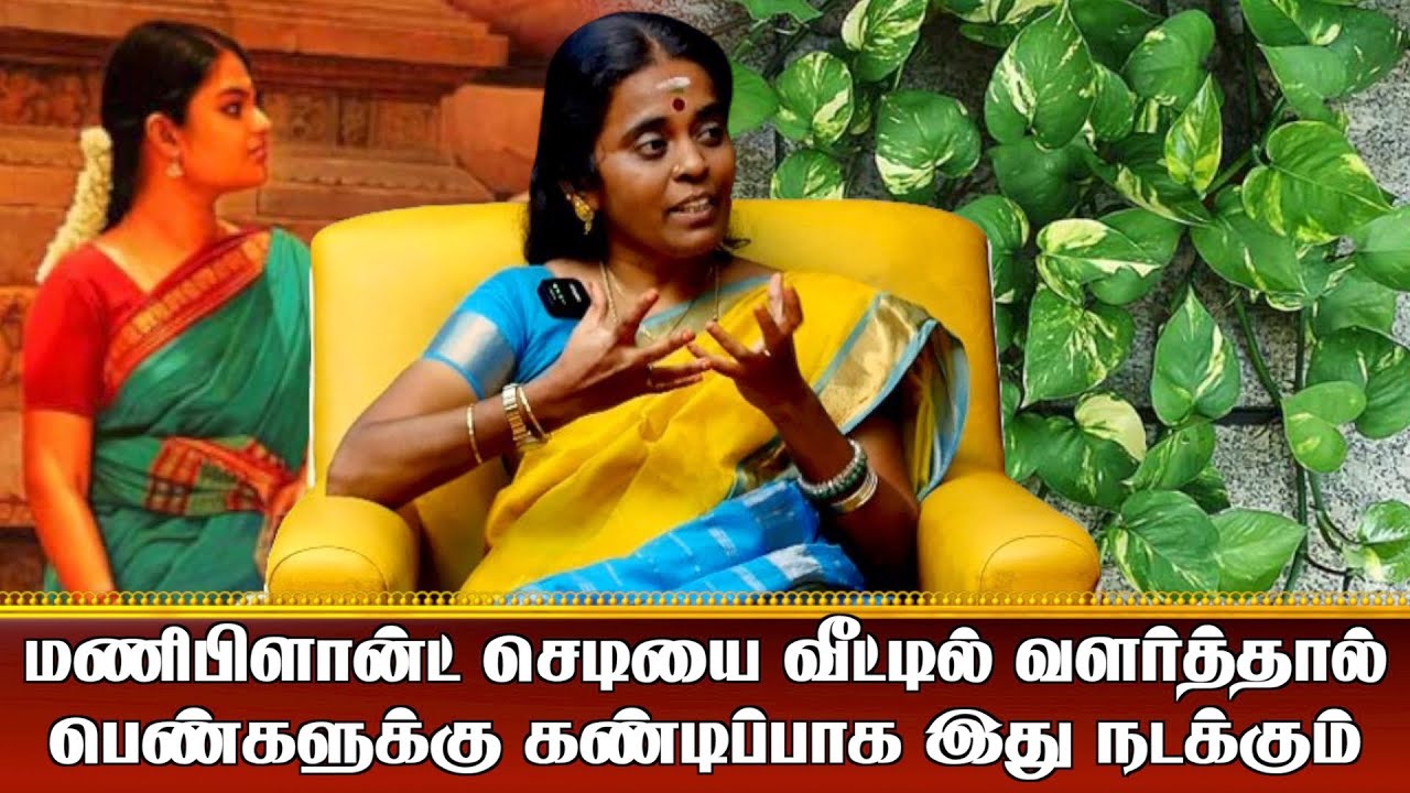 மணிபிளான்ட் செடியை வீட்டில் வளர்த்தால்  பெண்களுக்கு கண்டிப்பாக இது நடக்கும்!
