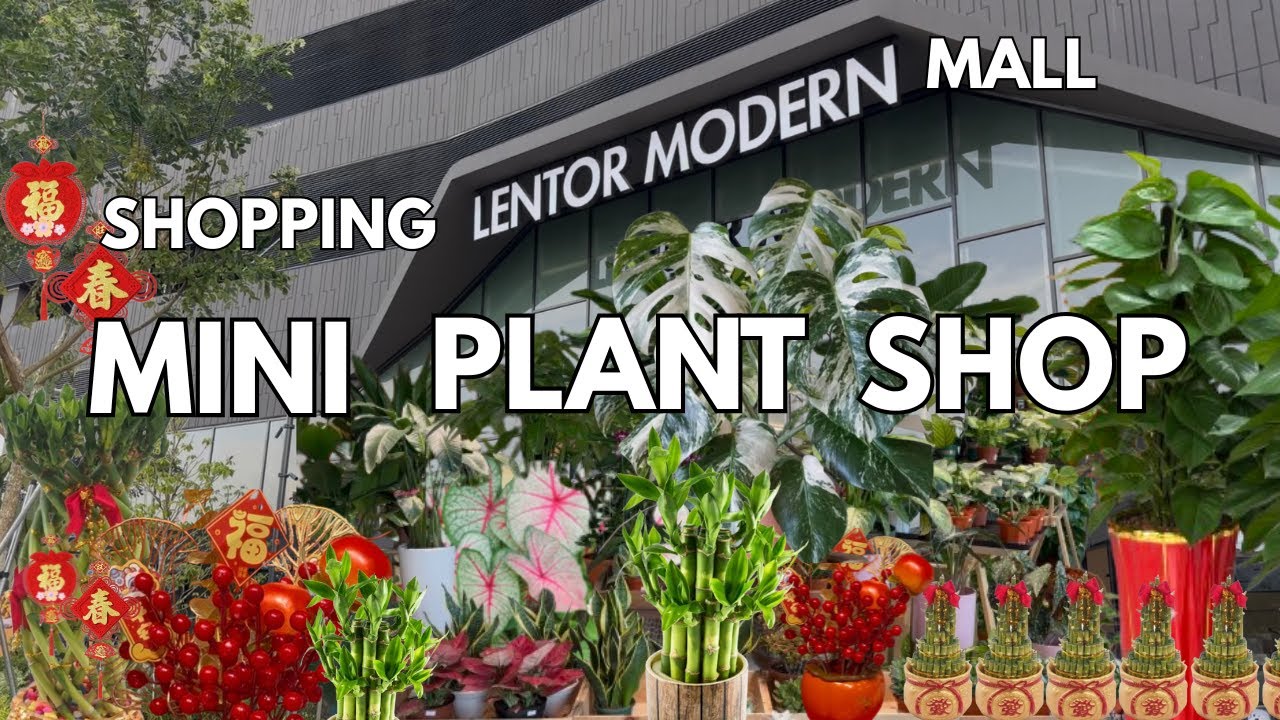 🌿 Newest Shopping Mall Plant Shop Tour | Homegrown Plant Shop | Singapore Lentor Modern Mall