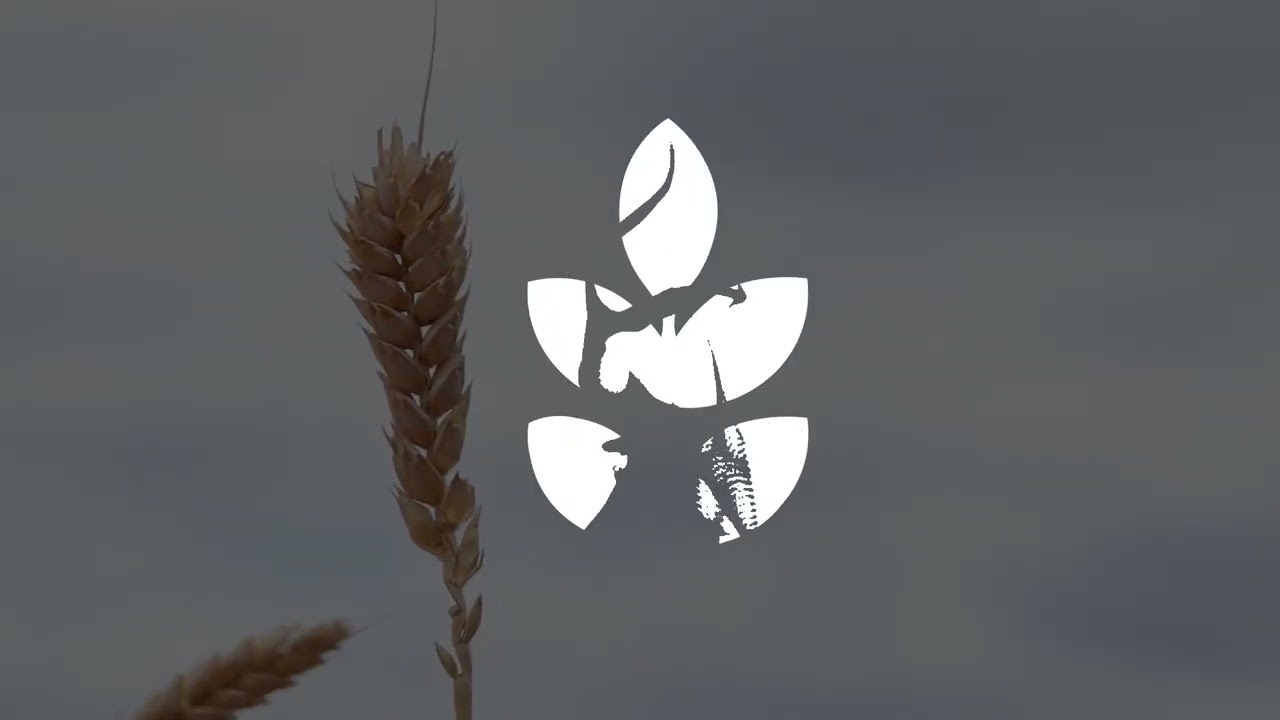 Presentación del nuevo logo municipal de Florida