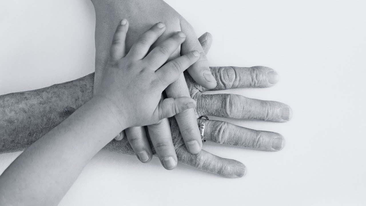 2  Carrying a Prophetic Covenant in Your Generations