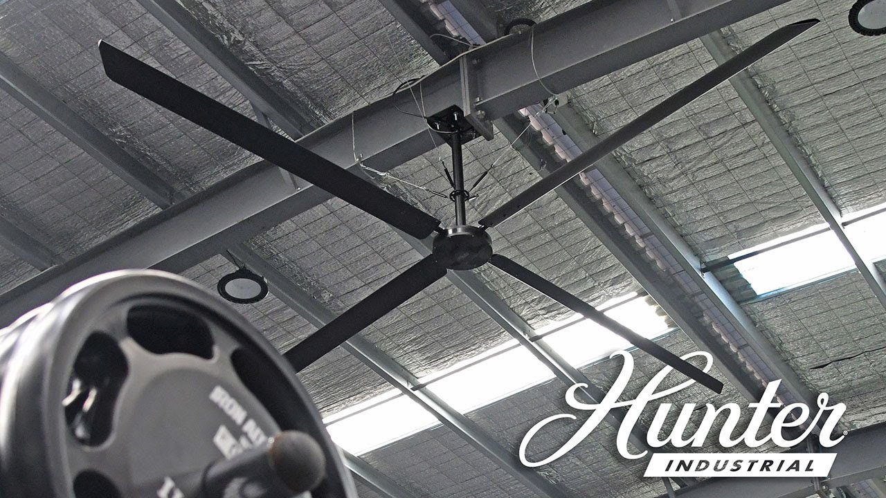 Hunter High-volume, Low-speed (HVLS) fans in Gym
