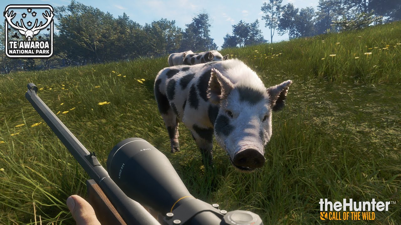 THEHUNTER COTW #139 TE AWAROA NATIONAL PARK - UNE CHASSE AUX COCHONS SAUVAGES