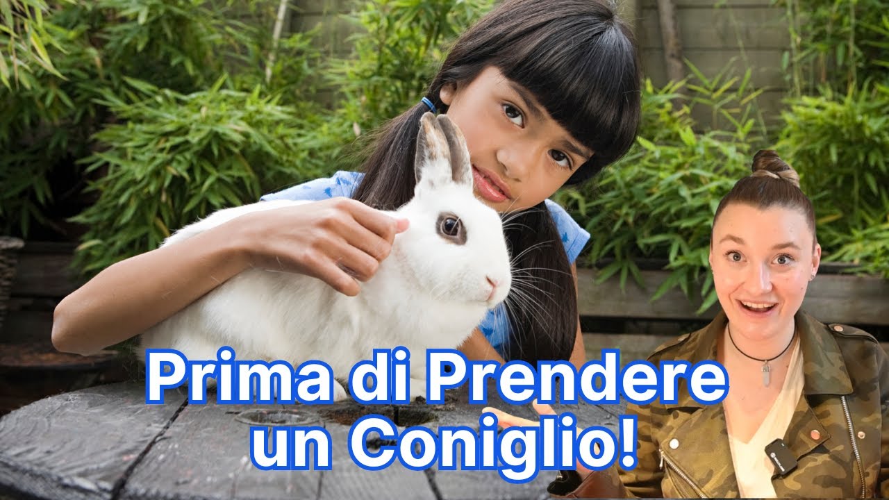 Vuoi Adottare un Coniglio? Ecco le 4 Aree della Tua Vita che Cambieranno per Sempre