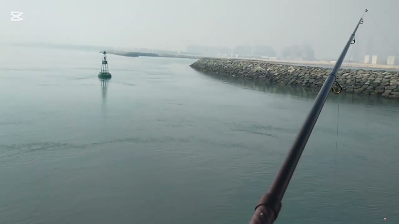 Swimming with fishing adventure relaxing stress free matumal alreem island abudhabi city UAE fish on