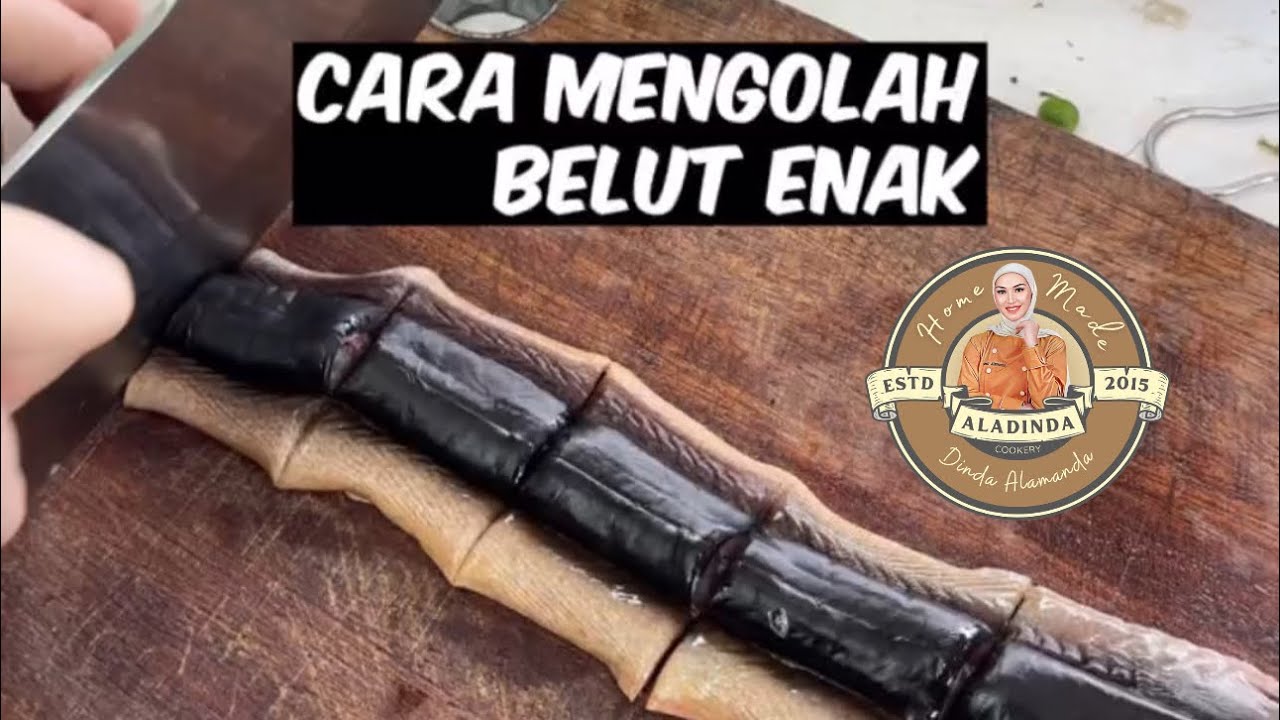 ❗️CARA MENGOLAH BELUT ENAK❗️part full❗️#resepdindaalamanda #dindaalamanda ​⁠ @dindaalamanda