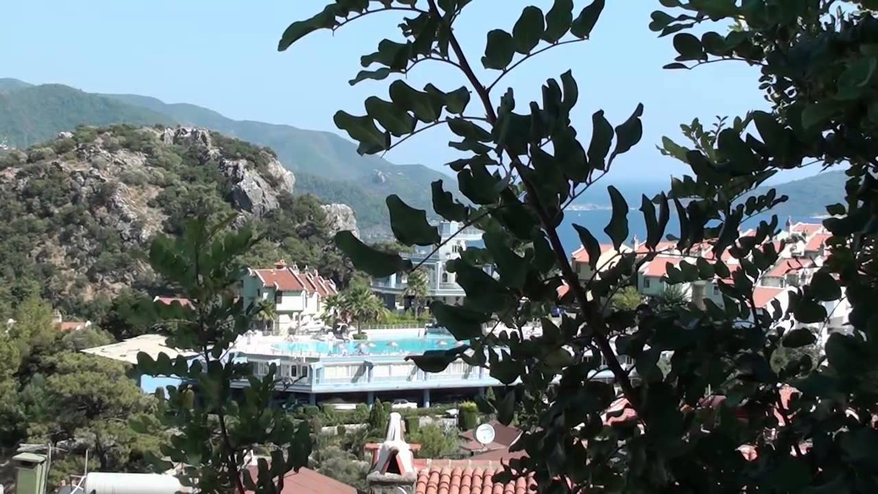 Orman teknikerleri Sitesi
