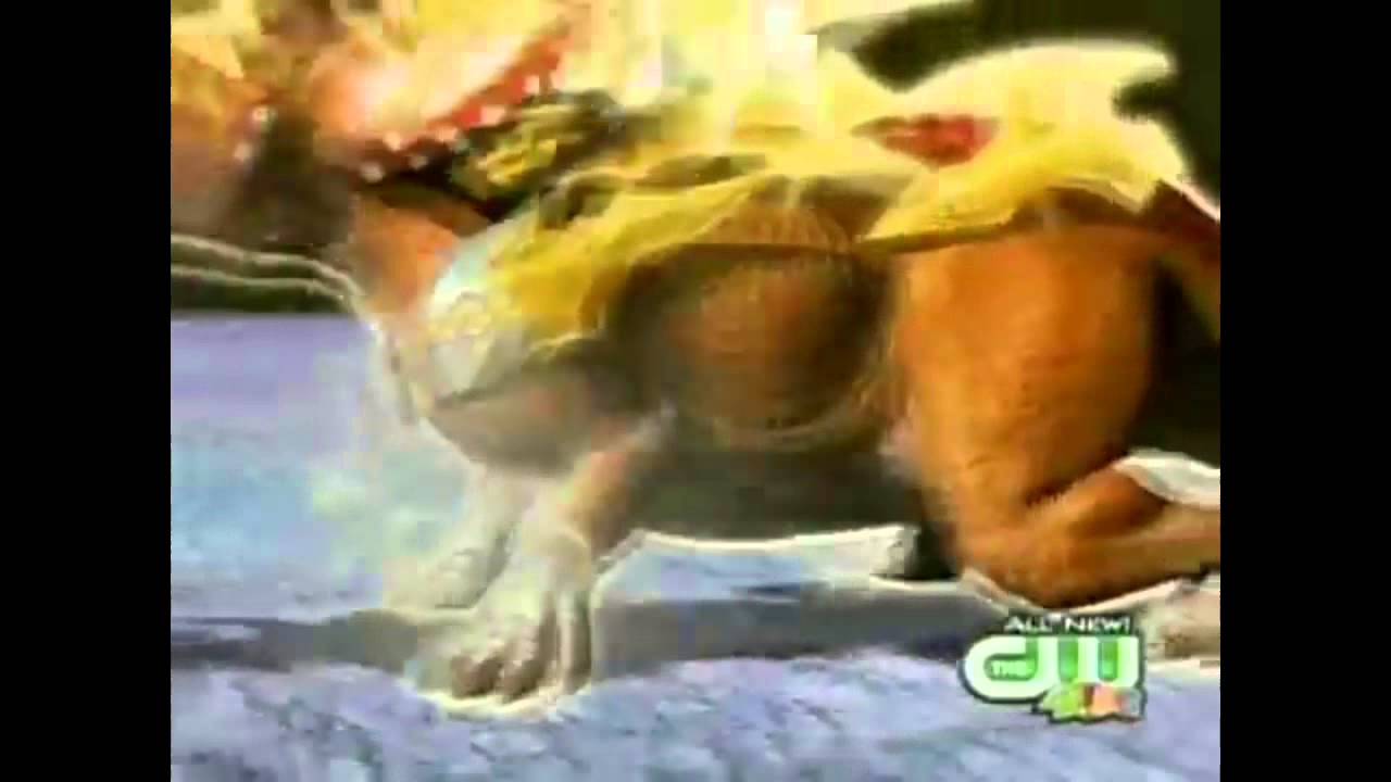Dinosaur King Chomp Amv (remake)