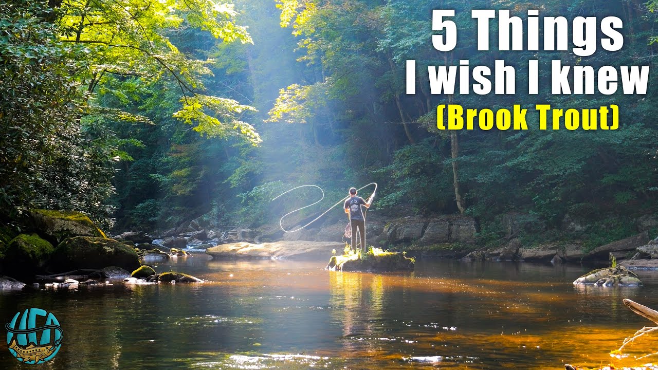 How to fish for brook trout! || 5 Things I Wish I Knew When I Started Trout Fishing!