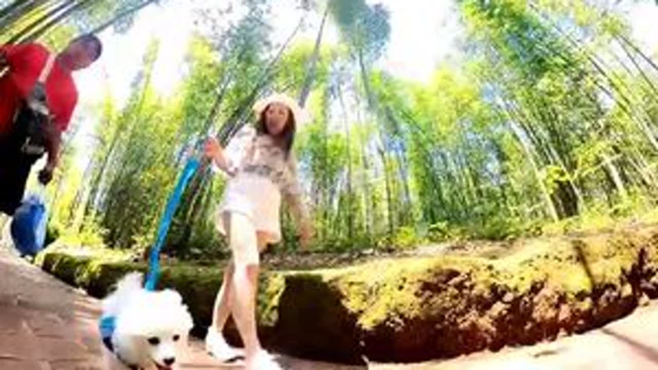 幽静的竹海  慰藉着心灵！两人一狗  随性在林间！！ #蔚蓝户外