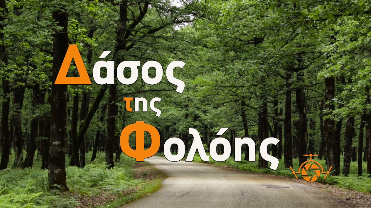Δάσος της Φολόης. | Foloi oak forest Greece