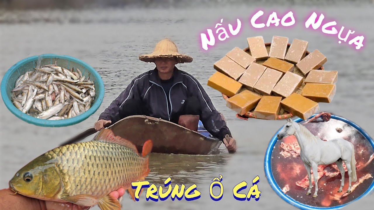 Bố Thả Lưới Trúng Ổ Cá Mương Sông Và Nấu Thêm Nồi Cao Ngựa Nữa  /Nhân Bé Nhỏ 