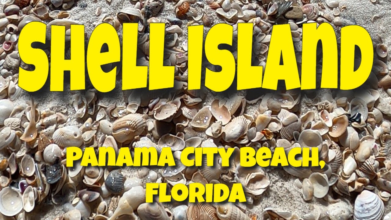 Shelling Shell Island, Panama City Beach, Florida, Part I