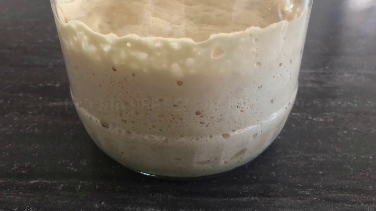 LIEVITO FATTO IN CASA farina e yogurt