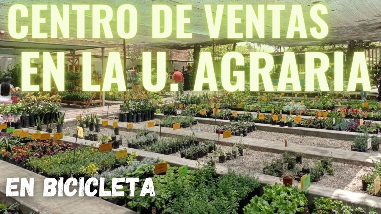 💥CENTRO DE VENTAS EN LA AGRARIA💥PLANTAS🌱/FRUTAS🍎/VERDURAS🥕/PRECIOS Y HORARIOS👀