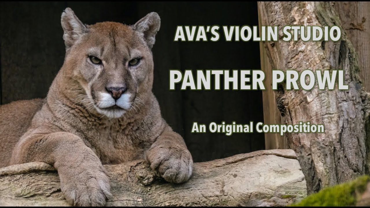 Panther Prowl (Original Composition) - Ava's Violin Studio